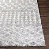 Surya Deluxe Shag DXS-2313 2' x 3' Rug