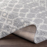 Surya Deluxe Shag DXS-2313 2' x 3' Rug
