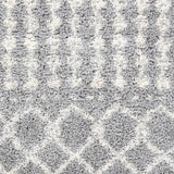 Surya Deluxe Shag DXS-2313 2' x 3' Rug