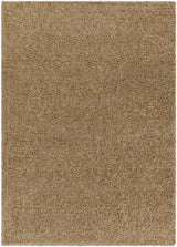 Surya Deluxe Shag DXS-2321 2' x 3' Rug