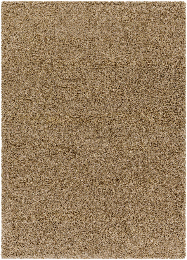 Surya Deluxe Shag DXS-2321 2' x 3' Rug