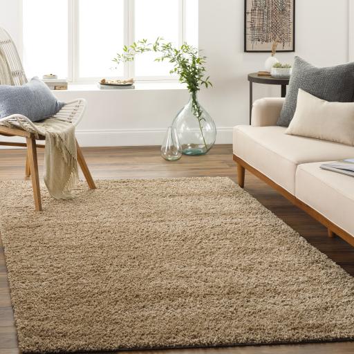 Surya Deluxe Shag DXS-2321 2' x 3' Rug