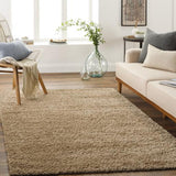 Surya Deluxe Shag DXS-2321 2' x 3' Rug