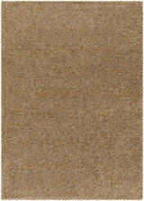 Surya Deluxe Shag DXS-2321 2' x 3' Rug