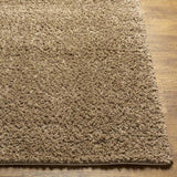 Surya Deluxe Shag DXS-2321 2' x 3' Rug