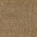 Surya Deluxe Shag DXS-2321 2' x 3' Rug