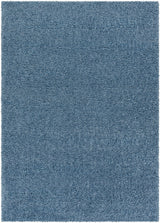 Surya Deluxe Shag DXS-2325 2' x 3' Rug