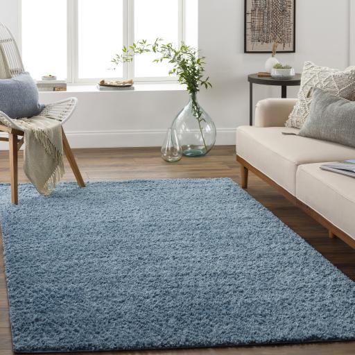 Surya Deluxe Shag DXS-2325 2' x 3' Rug