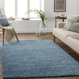 Surya Deluxe Shag DXS-2325 2' x 3' Rug