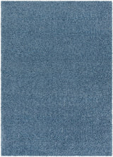 Surya Deluxe Shag DXS-2325 2' x 3' Rug