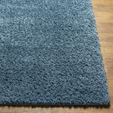 Surya Deluxe Shag DXS-2325 2' x 3' Rug