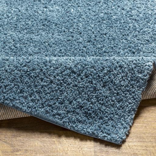 Surya Deluxe Shag DXS-2325 2' x 3' Rug