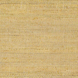 Surya Demi DEM-2302 6' x 9' Rug