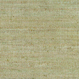 Surya Demi DEM-2303 2' x 3' Rug