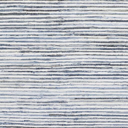 Surya Denim DNM-1001 Blue Navy 2' x 3' Rug