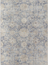 Surya Downtown DTW-2322 2'2" x 3'9" Rug
