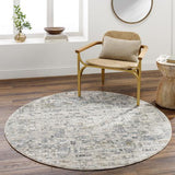 Surya Dresden DRE-2304 10' x 13'11" Rug