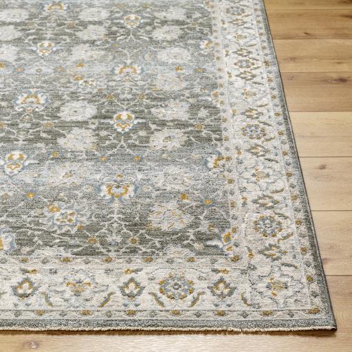 Surya Dresden DRE-2312 10' x 13'11" Rug