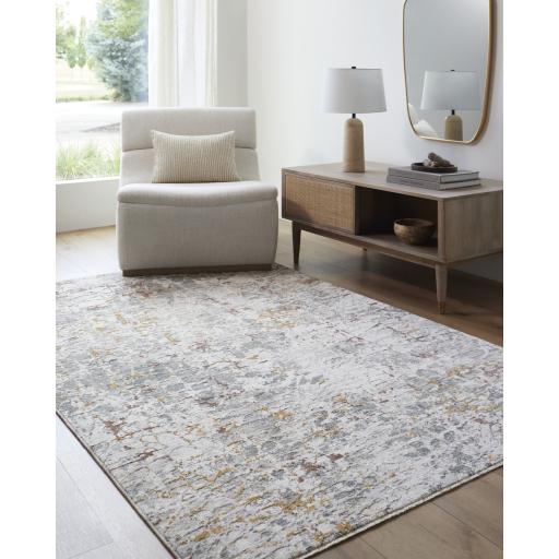 Surya Dresden DRE-2315 2'7" x 3'11" Rug