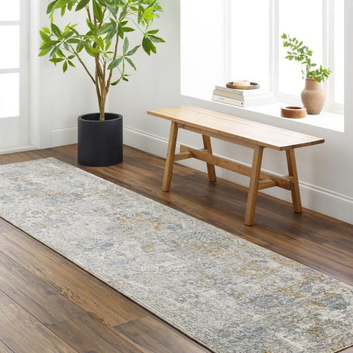 Surya Dresden DRE-2323 2'7" x 3'11" Rug