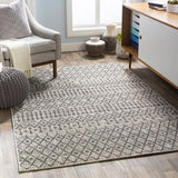 Surya Eagean EAG-2334 2' x 2'11" Rug