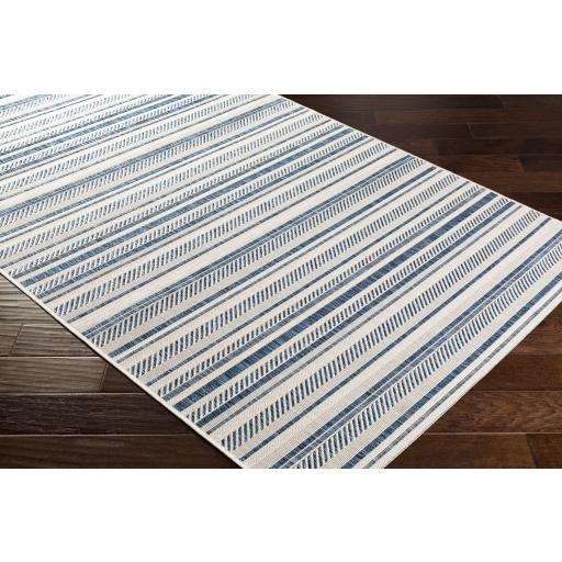 Surya Eagean EAG-2337 Blue Light Blue 8'10" x 12' Rug