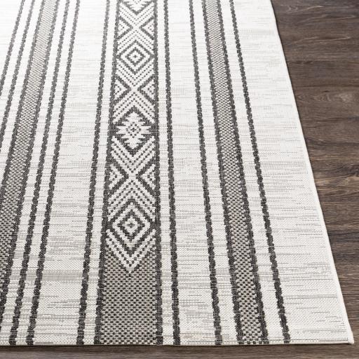 Surya Eagean EAG-2352 Black Charcoal 8'10" x 12' Rug