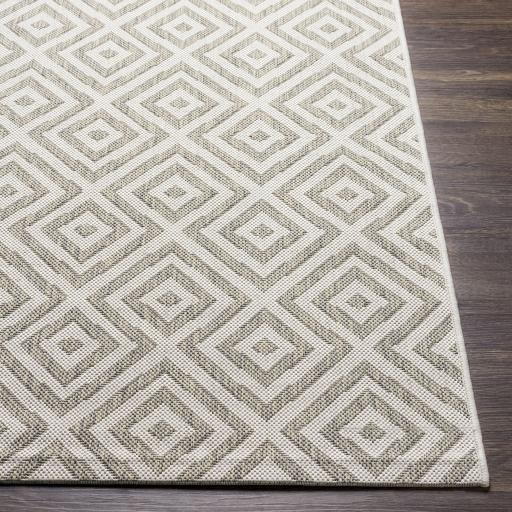 Surya Eagean EAG-2370 Gray Light Beige 5'3" x 7'7" Rug