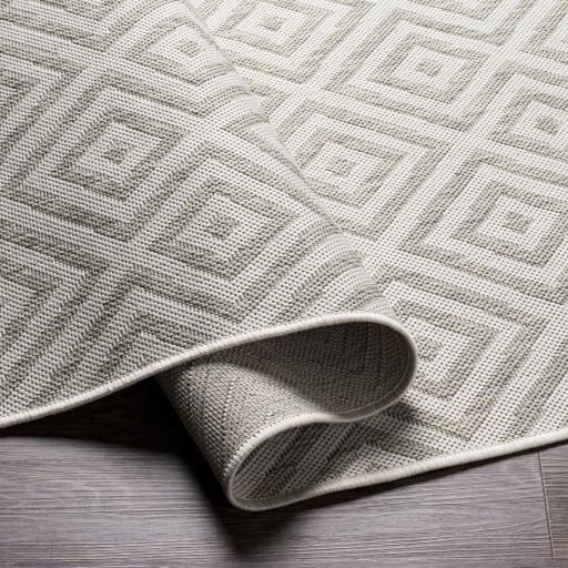 Surya Eagean EAG-2370 Gray Light Beige 5'3" x 7'7" Rug