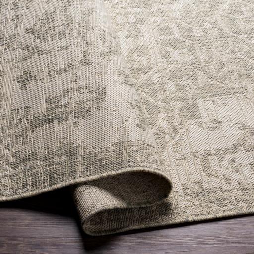 Surya Eagean EAG-2380 2' x 2'11" Rug