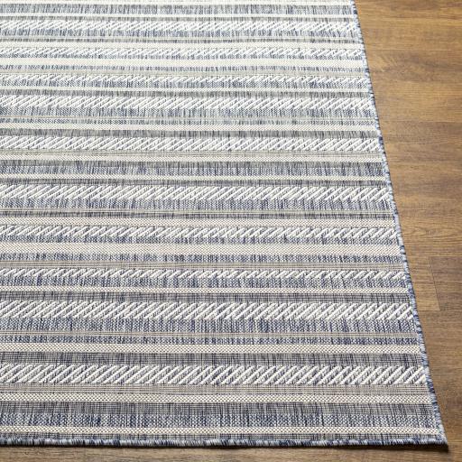 Surya Eagean EAG-2407 Blue Gray 2' x 2'11" Rug