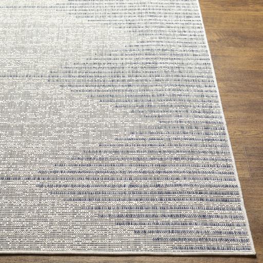 Surya Eagean EAG-2418 Blue Gray 2'7" x 10' Rug