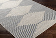 Surya Eagean EAG-2434 2' x 2'11" Rug