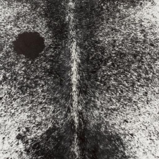 Surya Easton EAS-4000 Black Light Gray 8' Square Rug