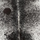 Surya Easton EAS-4000 Black Light Gray 8' Square Rug