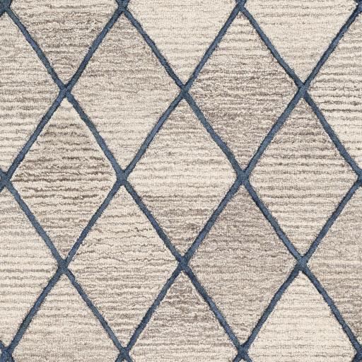 Surya Eaton EAT-2301 2' x 3' Rug