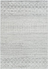 Surya Elaziz ELZ-2308 10' Square Rug