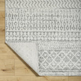 Surya Elaziz ELZ-2308 10' Square Rug
