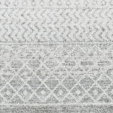 Surya Elaziz ELZ-2308 10' Square Rug