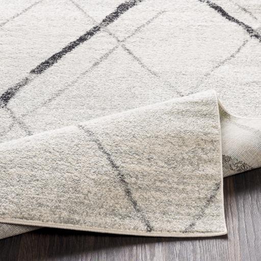 Surya Elaziz ELZ-2323 2' x 3' Rug
