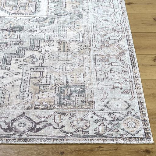 Surya Embrace EMA-2308 2' x 2'11" Rug