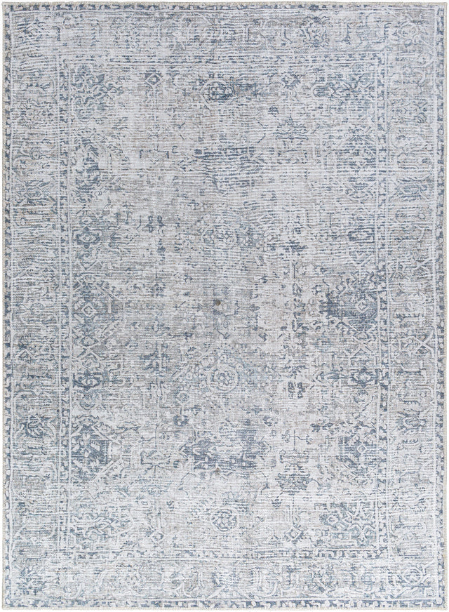 Surya Embrace EMA-2309 6'7" x 9' Rug