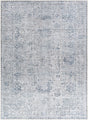 Surya Embrace EMA-2309 6'7" x 9' Rug