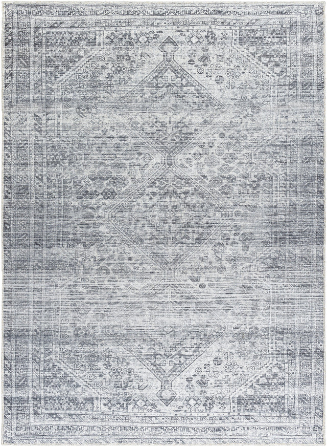 Surya Embrace EMA-2312 8'10" x 12' Rug