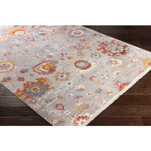 Surya Ephesians EPC-2302 Burnt Orange Gray 3'11" x 5'3" Rug