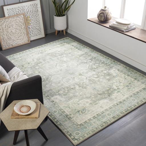 Surya Erin ERN-2309 2' x 2'11" Rug