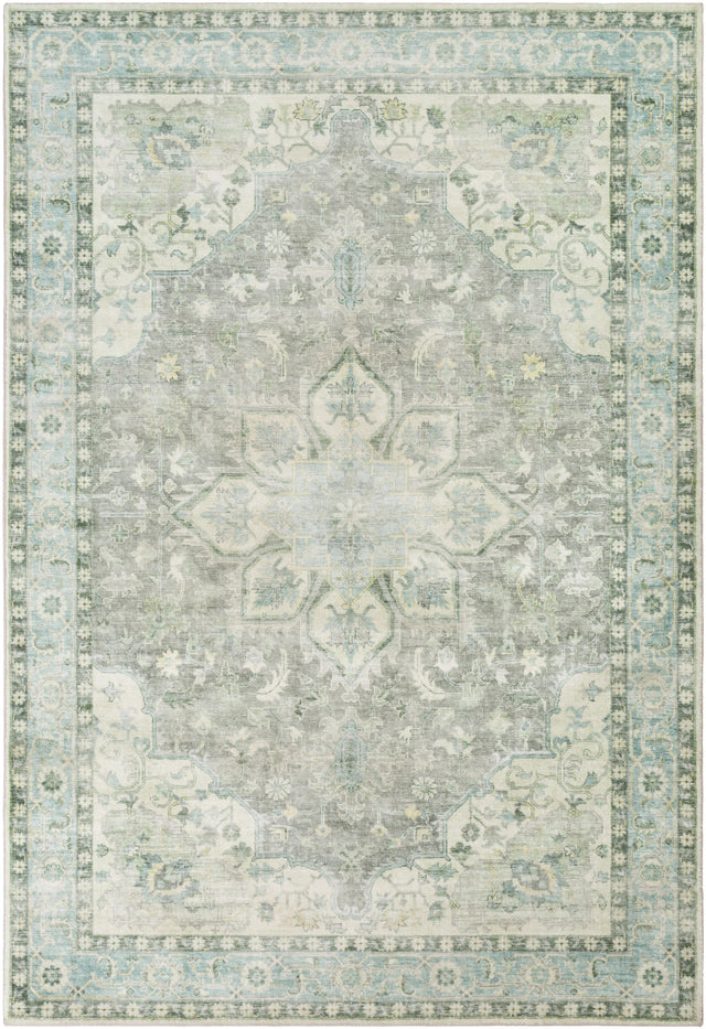 Surya Erin ERN-2309 2'7" x 4' Rug