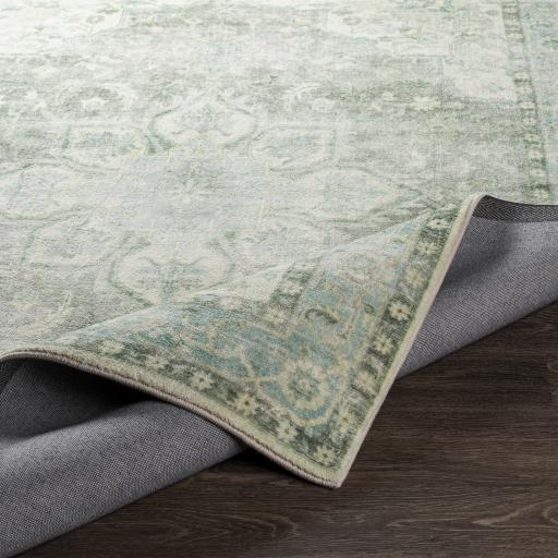 Surya Erin ERN-2309 2'7" x 4' Rug