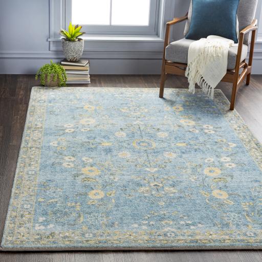 Surya Erin ERN-2311 2' x 2'11" Rug