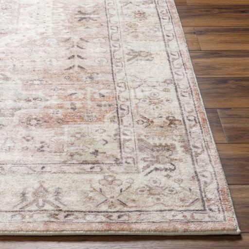 Surya Erin ERN-2316 Brown Ivory 2'7" x 4' Rug
